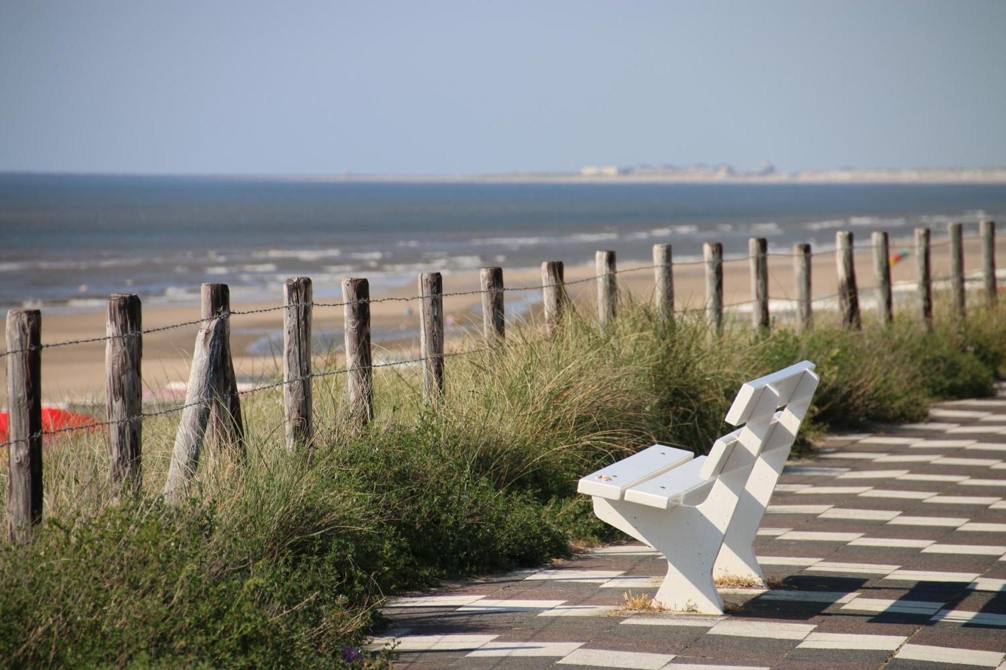 B&B Little Miss Sunshine Zandvoort Buitenkant foto